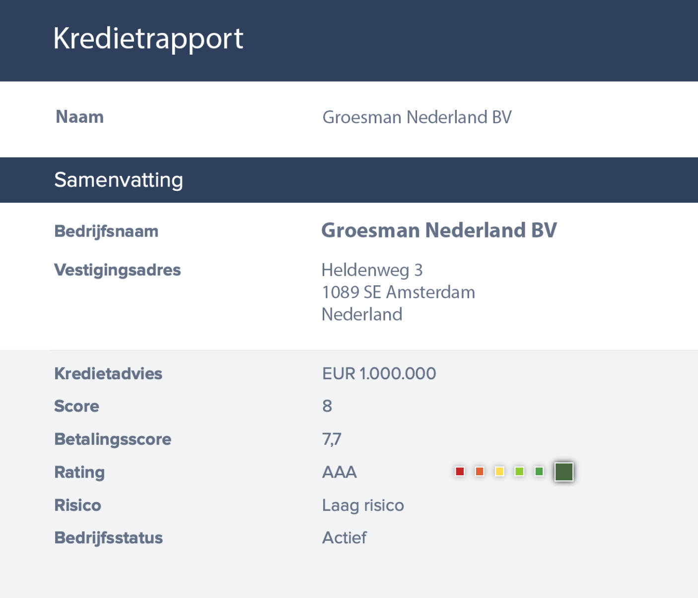 kredietrapport voorbeeld